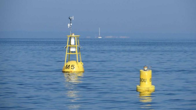 bouy